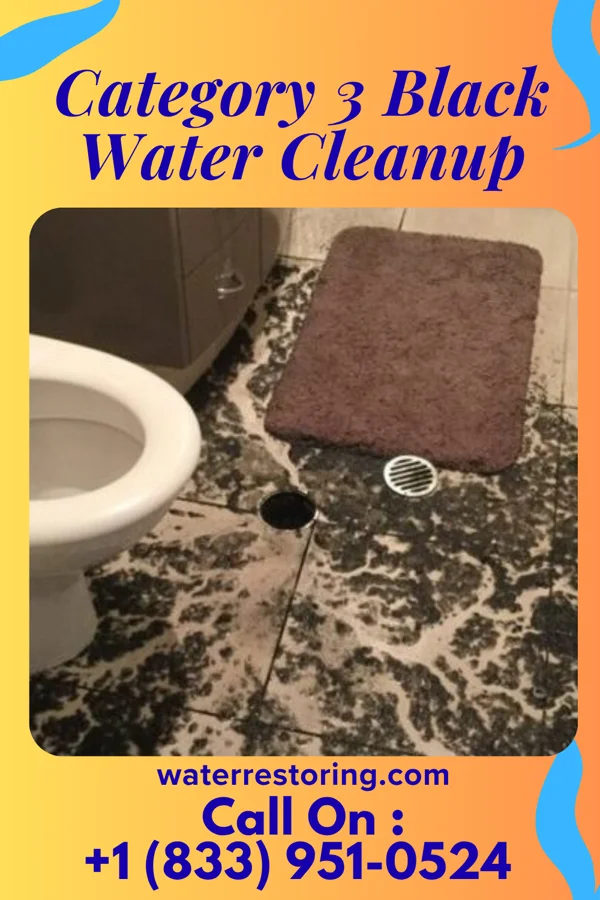 Category 3 Black Water Cleanup in Highspire, PA